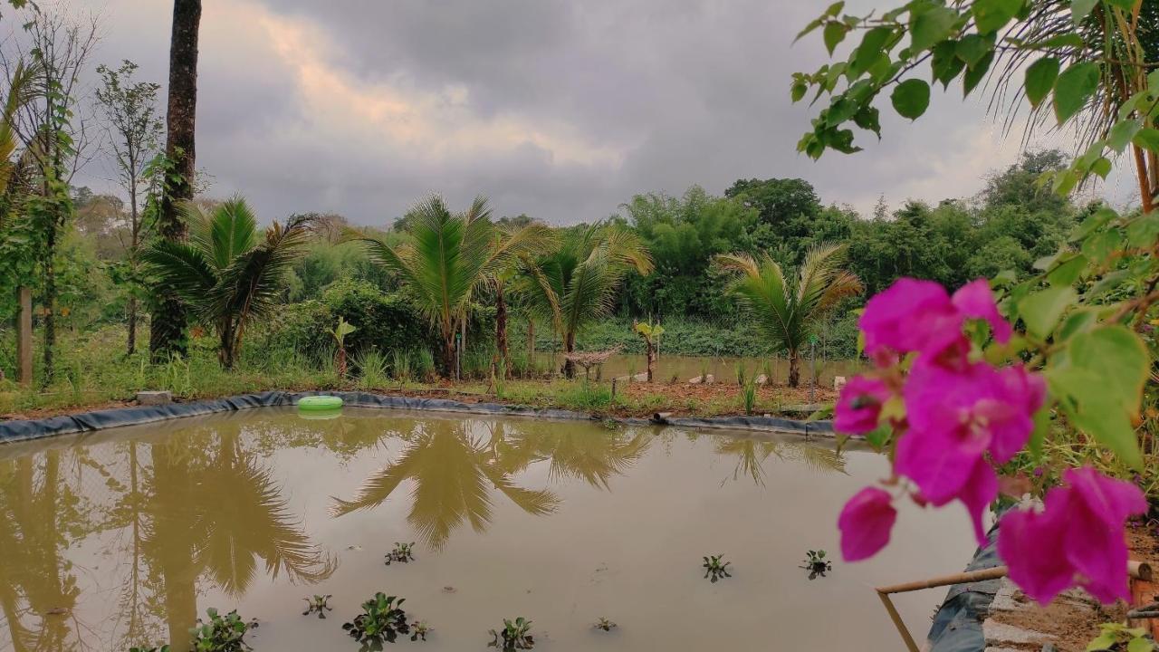 Homestay Dat Viet Cát Tiên Exterior foto