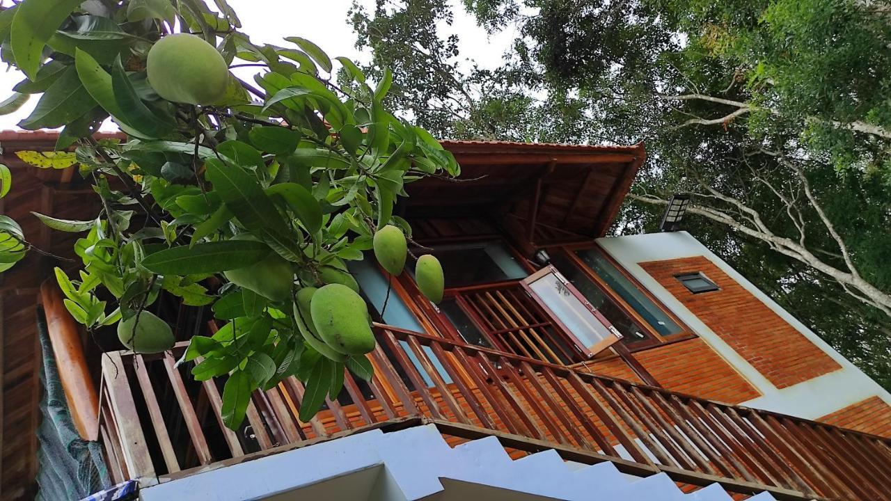 Homestay Dat Viet Cát Tiên Exterior foto